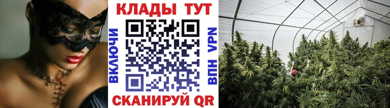 Купить закладку Псилоцибиновые грибы  Амфетамин  ГАШИШ  Меф  Каннабис  Сокол