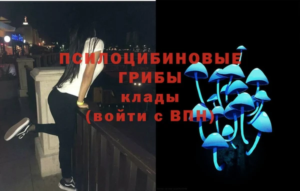 ГАЛЛЮЦИНОГЕННЫЕ ГРИБЫ Карпинск