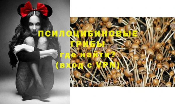 ГАЛЛЮЦИНОГЕННЫЕ ГРИБЫ Карпинск