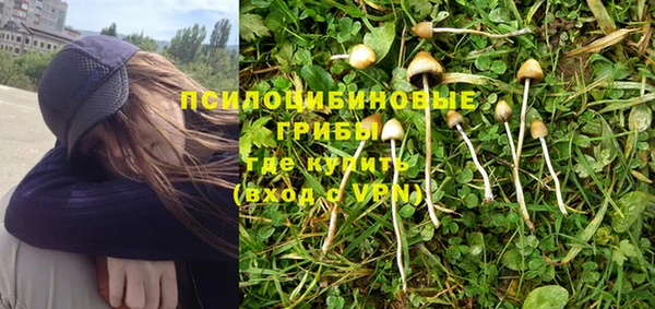 ГАЛЛЮЦИНОГЕННЫЕ ГРИБЫ Карпинск