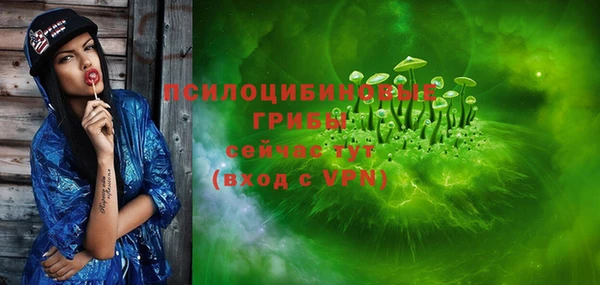 ГАЛЛЮЦИНОГЕННЫЕ ГРИБЫ Карпинск
