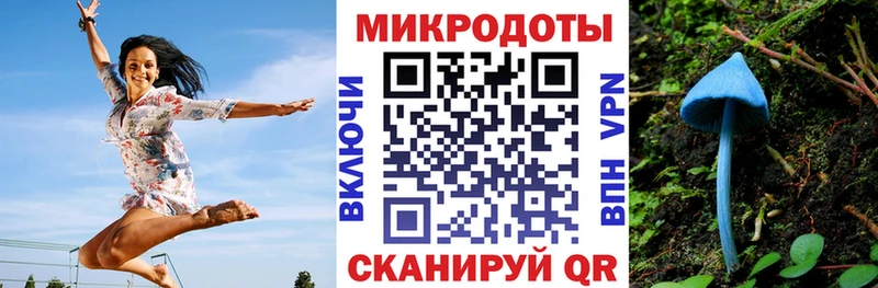 Галлюциногенные грибы Magic Shrooms  Купить где  Сокол 